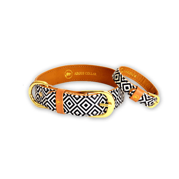 ARGUS BW Squary dog collar and friendship bracelet set in black and white geometric pattern.