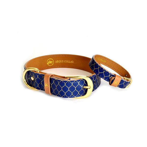 ARGUS collar and bracelet set in stylish blue design, made of high-quality synthetic leather, perfect for dogs.