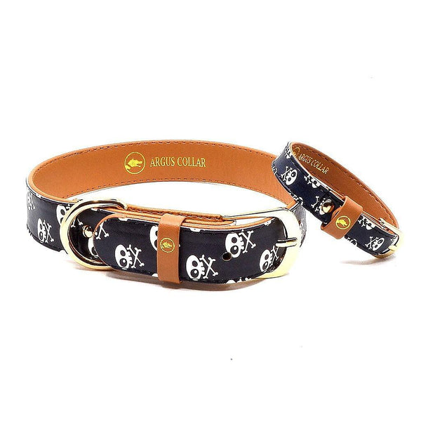 ARGUS Skull & Bones dog collar and matching friendship bracelet in stylish design with skull pattern.