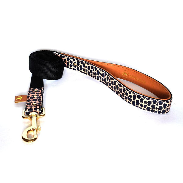 Stylish ARGUS dog leash in jungle print with gold clasp and padded handle.