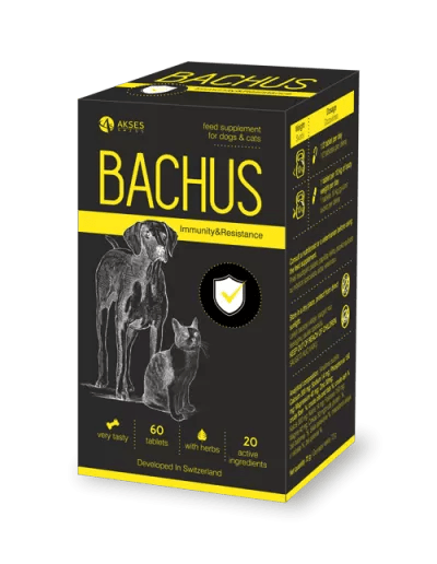 BACHUS Immunity & Resistance supplement box for dogs and cats with 60 tablets, featuring herbal ingredients.